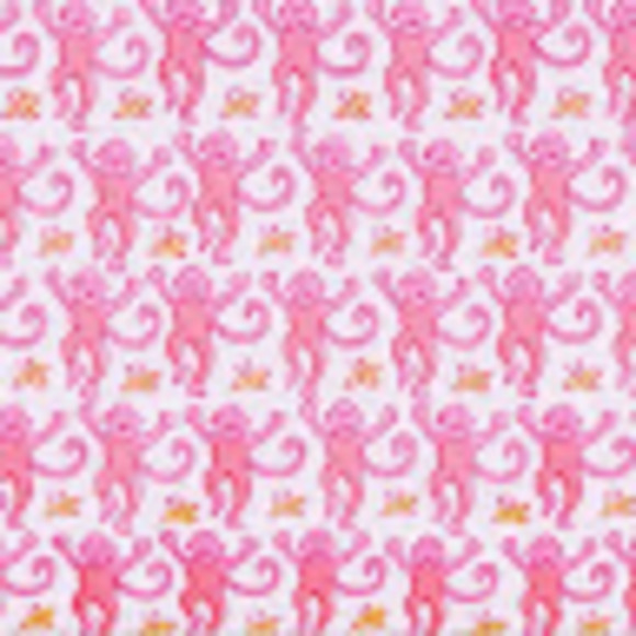 caelyn_nikoloff